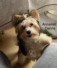Annamirl 6 Monate